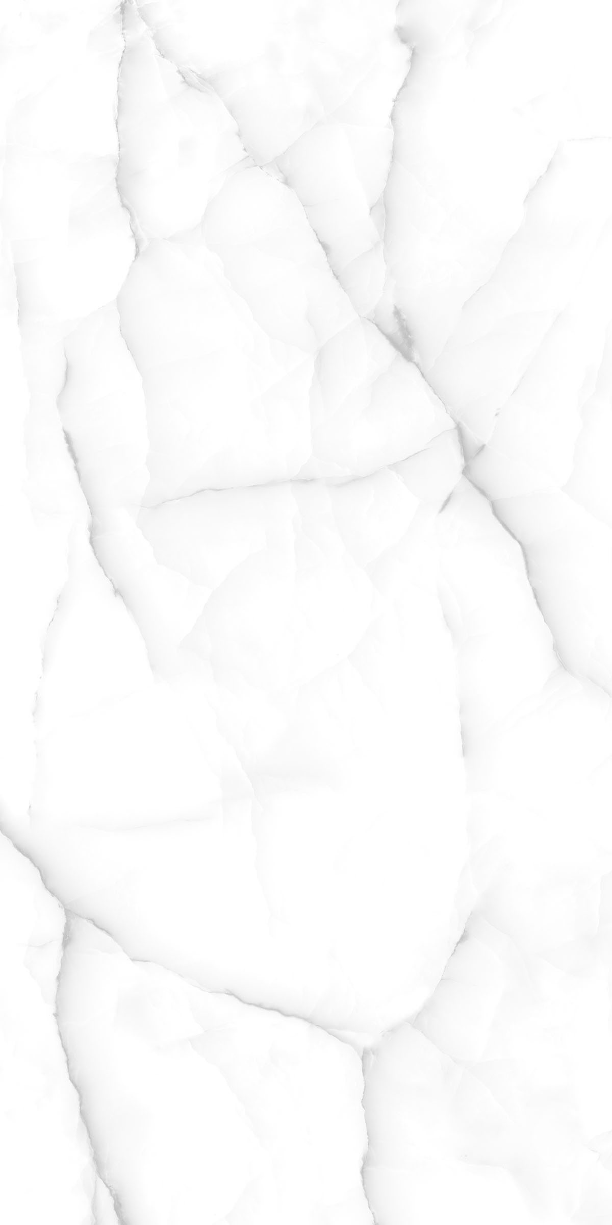 Glorry White