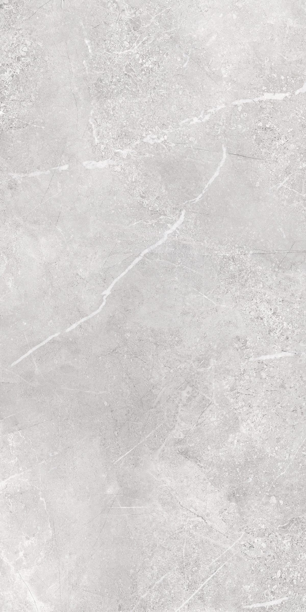 Pulpis Grey