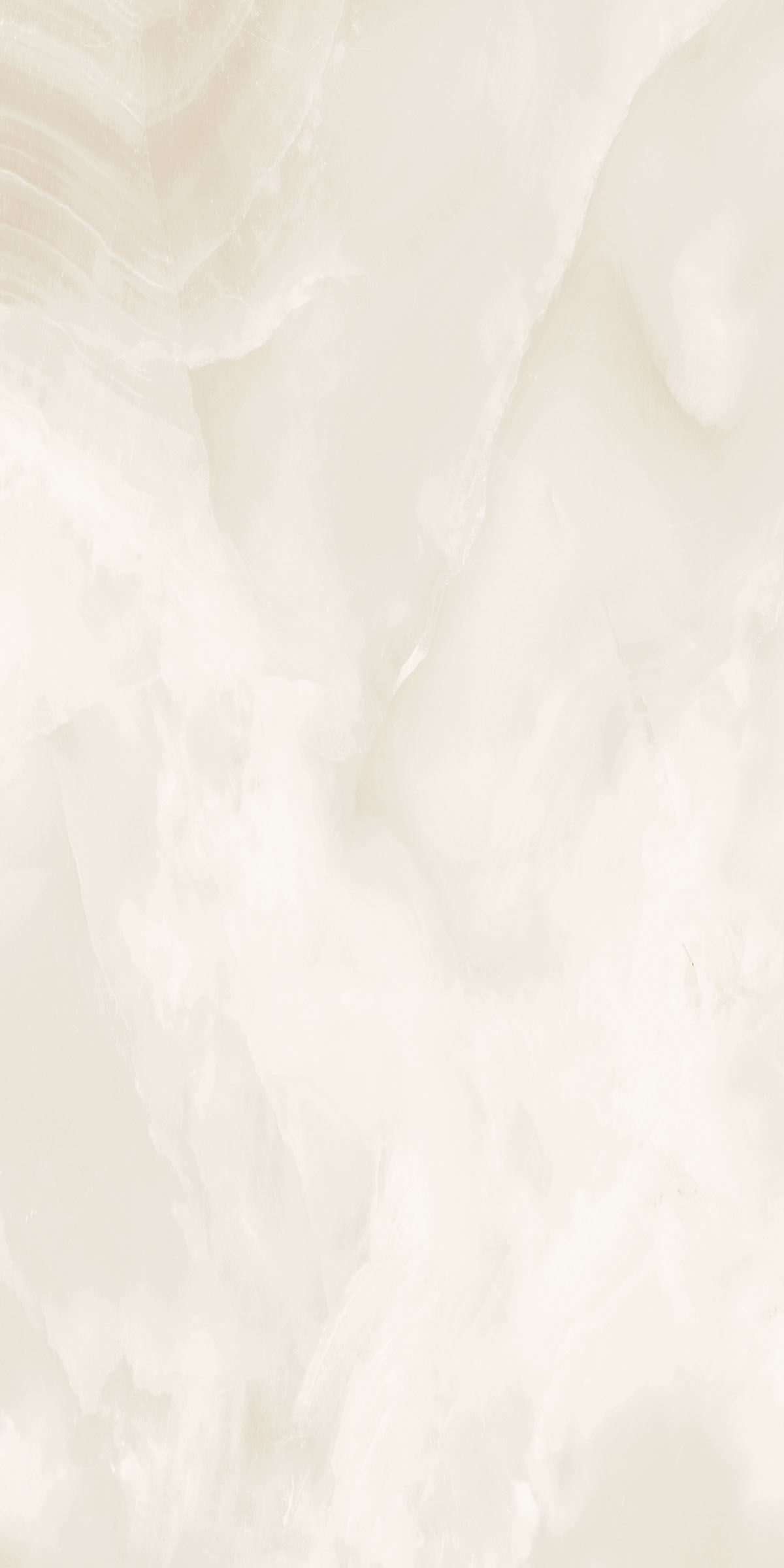 Arabian Crema