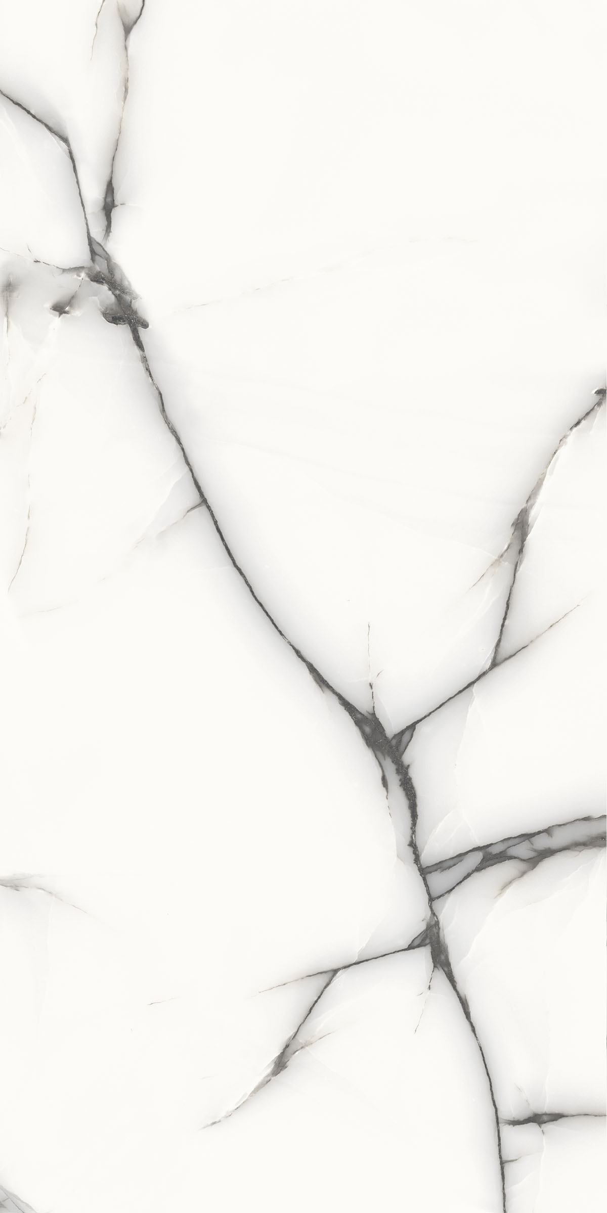 Spider Ice