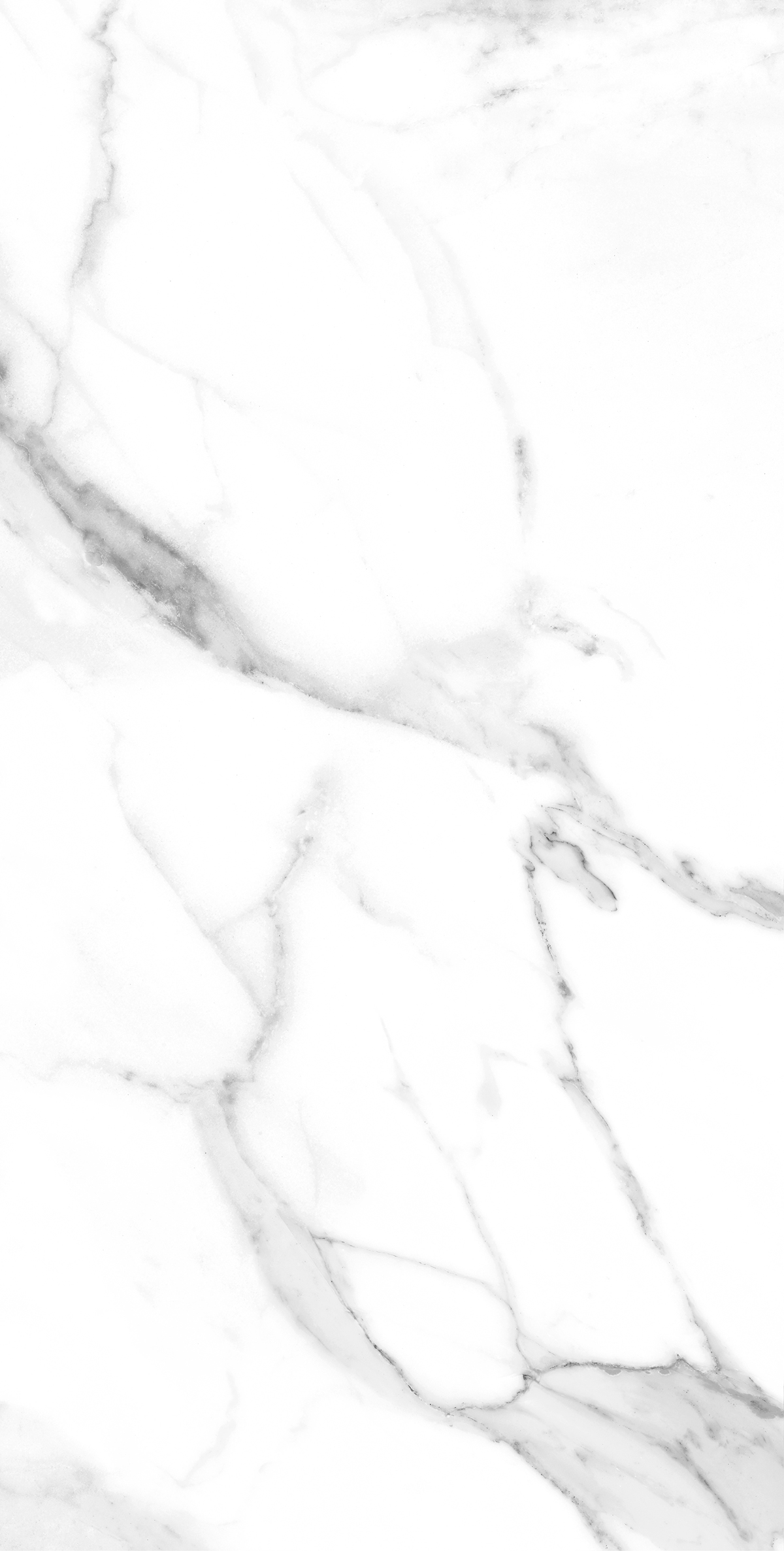 White Grey